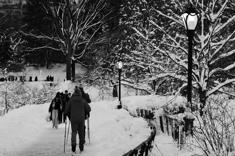 Cross-country skiers on a snow-covered Central Park path lined with lampposts and bare, snow-laden trees.