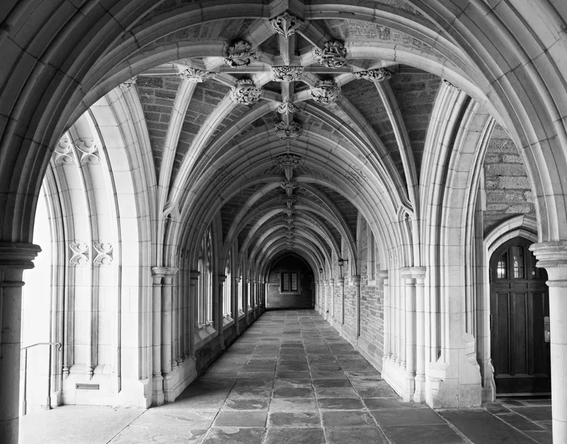 Vaulted Gothic cloister at Princeton, ribbed stone arches receding down a flagstone walkway toward a distant doorway.